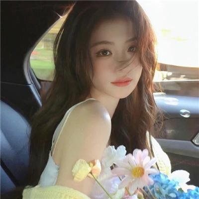 猫和老鼠:罗宾汉和他的机灵鼠